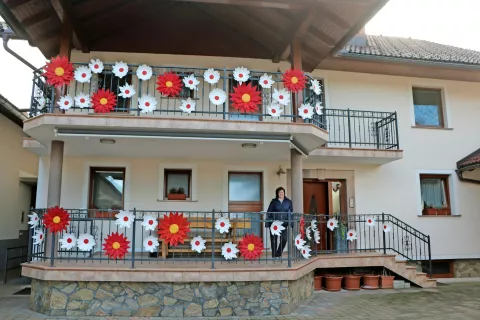 Rdeči in beli cvetovi na Darjinih balkonih / Foto: A. B. / Foto: 