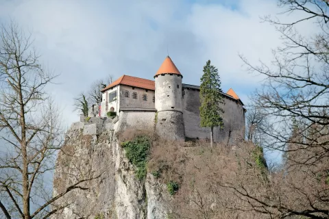 Na Blejskem gradu so lani našteli krepko čez pol milijona obiskovalcev. / Foto: Primož Pičulin / Foto: 
