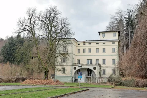 Grad Podvin, po drugi svetovni vojni hotel s protokolarnim statusom, že dolgo propada. V zadnjih desetletjih je propadlo že nekaj načrtov oživitve. Tokrat investitorji želijo skupaj z obnovo starega dvorca uresničiti tudi gradnjo apartmajev kot del podvinskega kompleksa. / Foto: Tina Dokl / Foto: 