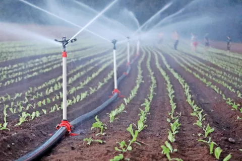 Na območju pod daljnovodom bo treba gradnjo namakalnih sistemov načrtovati tako, da ne bo prihajalo do neposrednega stika med vodnim curkom in vodnikom. (Slika je simbolična.) / Foto: Gorazd Kavčič / Foto: 