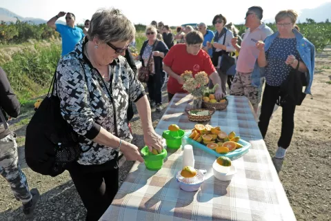 Kdor je želel, si je lahko za pijačo dobrodošlice stisnil sok svežih, ravno obranih mandarin. / Foto: 