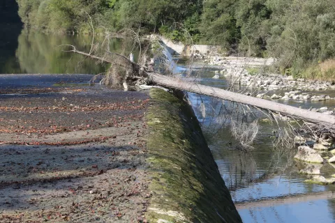 reka Sava Bohinjka jez smrad gnoj drek člove&scaron;ki iztrebki svinjarija ekolo&scaron;ka katastrofa občina Bled vas Lancovo občina Radovljica / Foto: Gorazd Kavčič