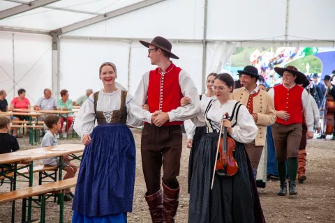 Pozdrav jeseni z gorenjskimi nageljni Cerklje / Foto: Ale&scaron; Senožetnik