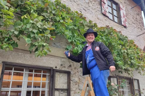 Prvi grozd so po tradiciji odrezali trgači iz Malečnika. / Foto: Nika Topori&scaron;