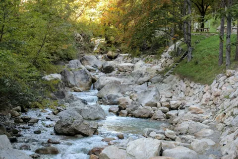 Dovžanova soteska je zaščitena kot naravni spomenik državnega pomena. / Foto: Tina Dokl