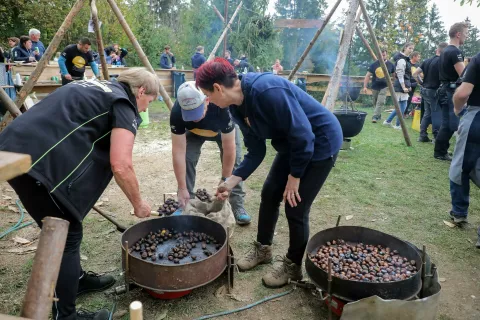 kostanjev piknik kostanj Besnica občina Kranj / Foto: Tina Dokl