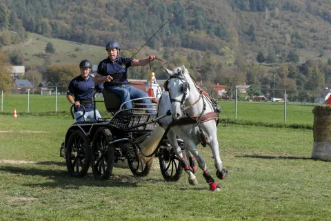 Tekmovalci so se pomerili v spretnostni in dresurni vožnji. / Foto: Tina Dokl