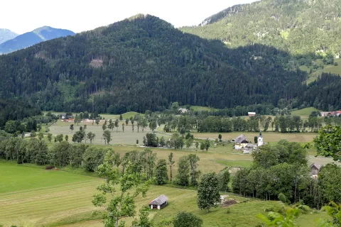 meja med mejaši drevesa Jezersko / Foto: Tina Dokl